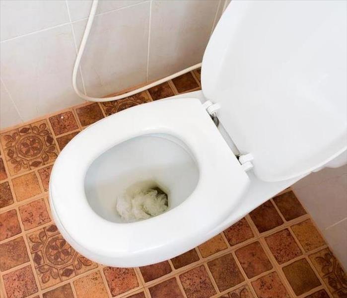Clogged toilet with toilet paper